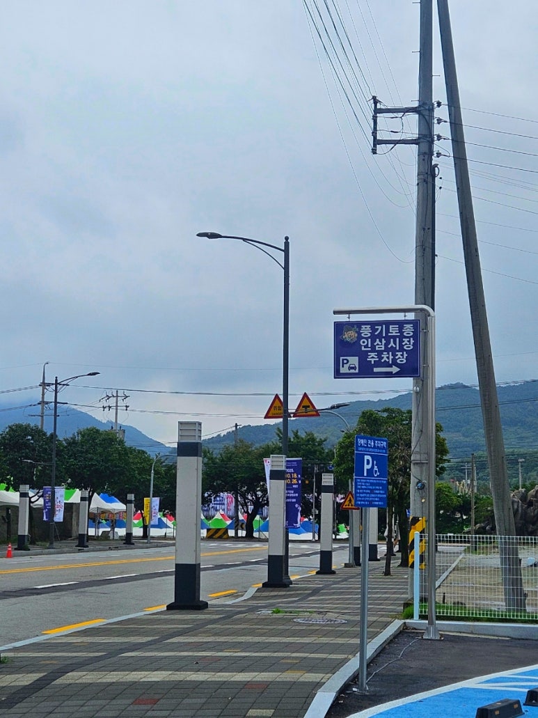 풍기토종인삼시장 이미지