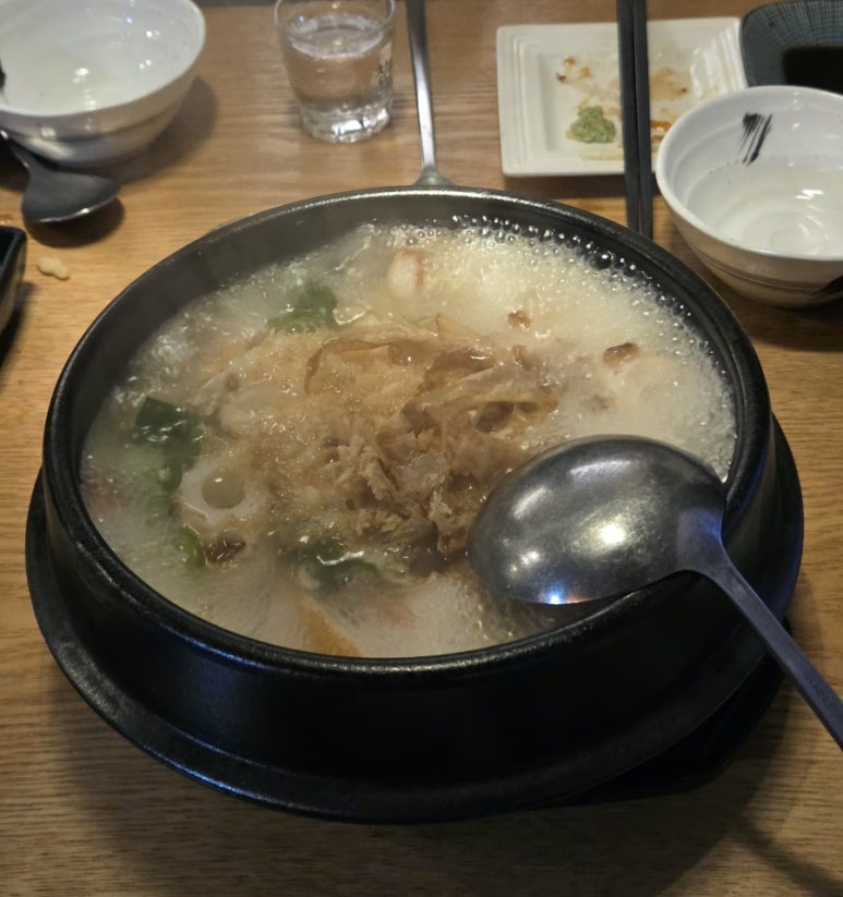 사쿠 사진 7