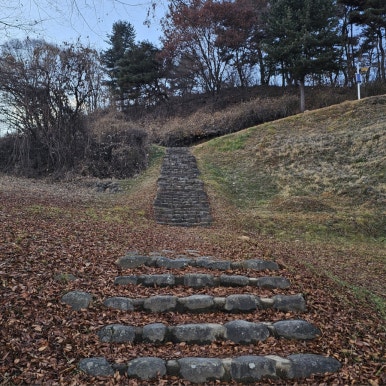 단양 신라 적성비 이미지