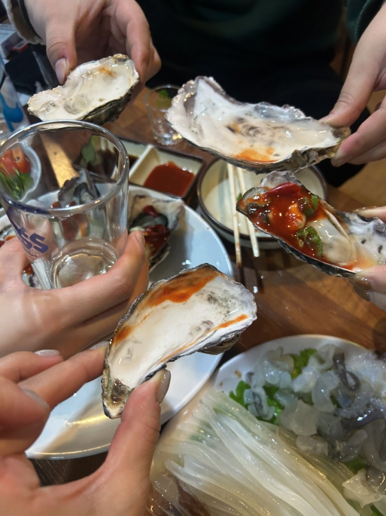 소풍나온 산오징어 사진 7