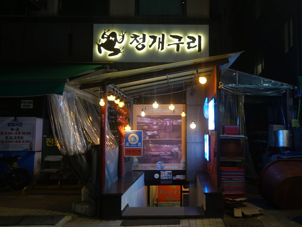 청개구리 사진 7