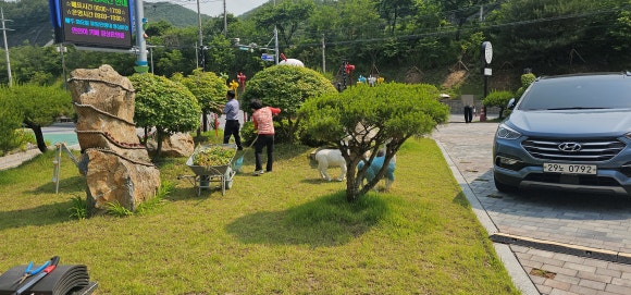 단양 카페만남 베이커리 & 스카이워크 이미지