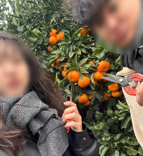 용이네포차 사진 5
