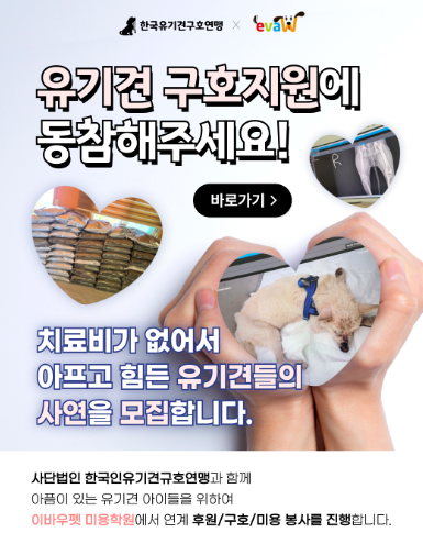 김포 애견미용학원: 자격증 기간, 수강료, 실습 후기 — 사진 3