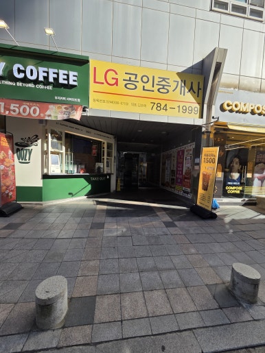 다원 사진 8