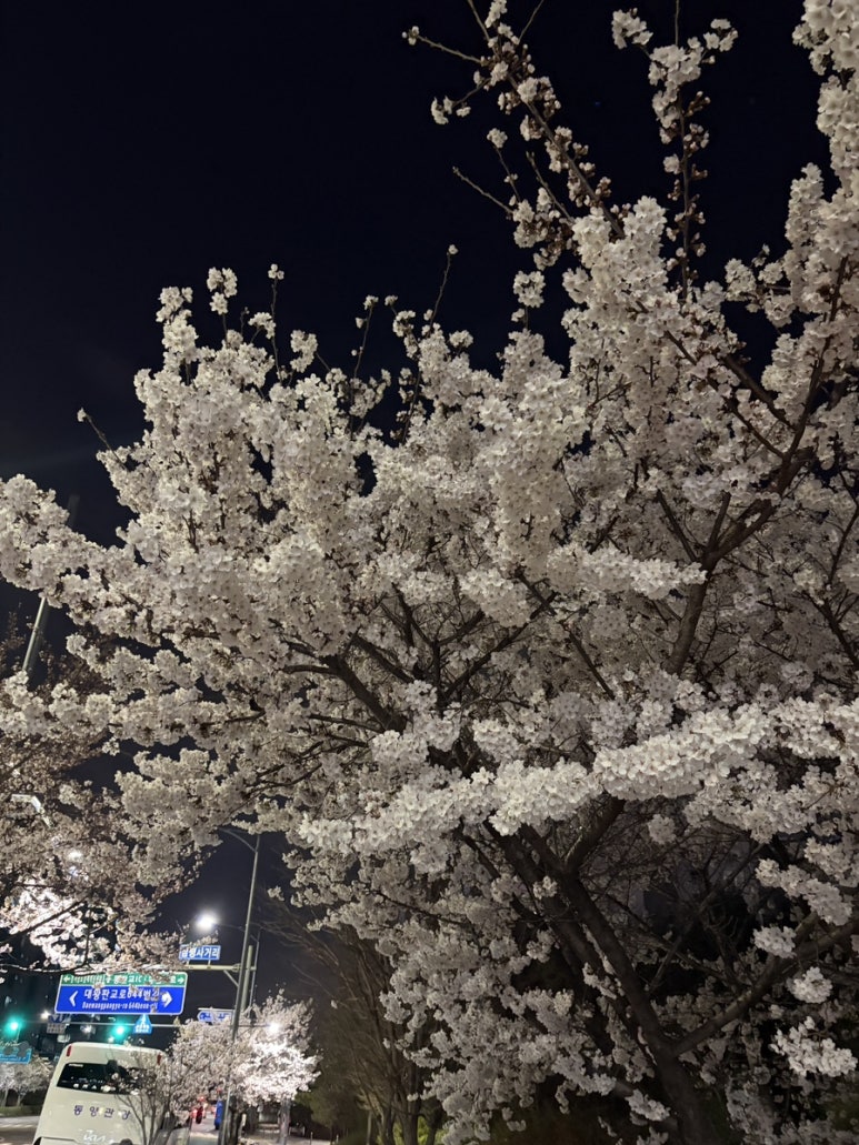 차이펑 사진 2