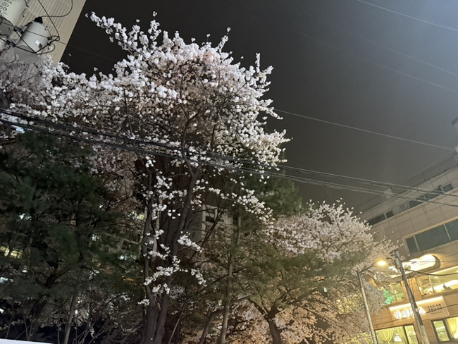 구이마당 사진 2