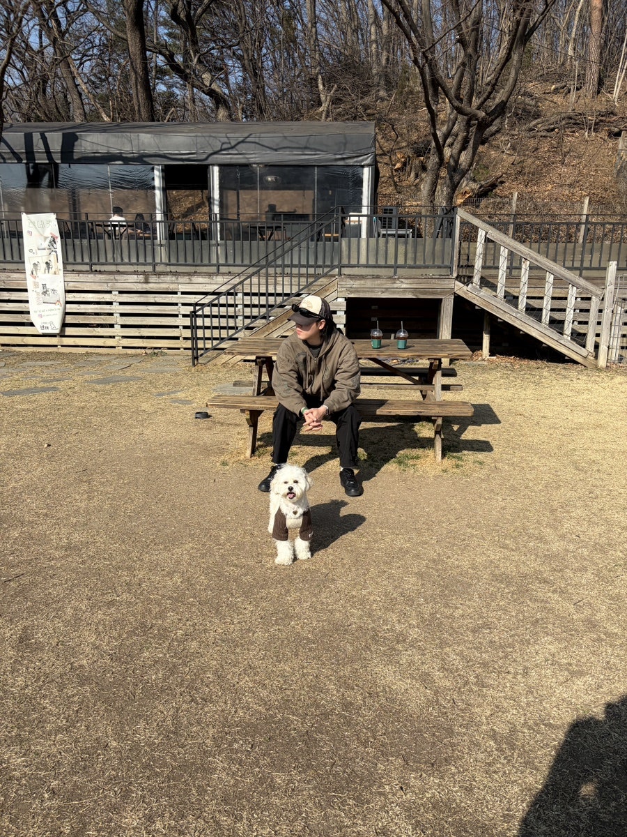 서울 근교 애견카페 & 운동장 추천 TOP 3 — 사진 3