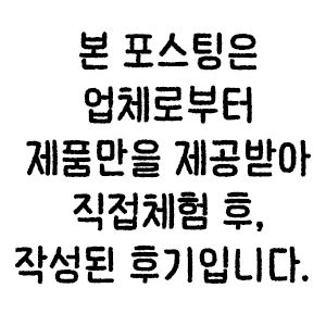 강아지 훈련, 소노펫 스쿨 1:1 교육으로 문제 행동 해결 — 사진 1