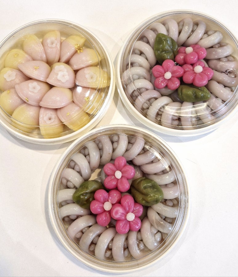 포지 사진 3