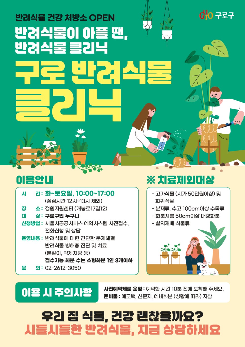 브로콜리 지역정보 관련 사진 1