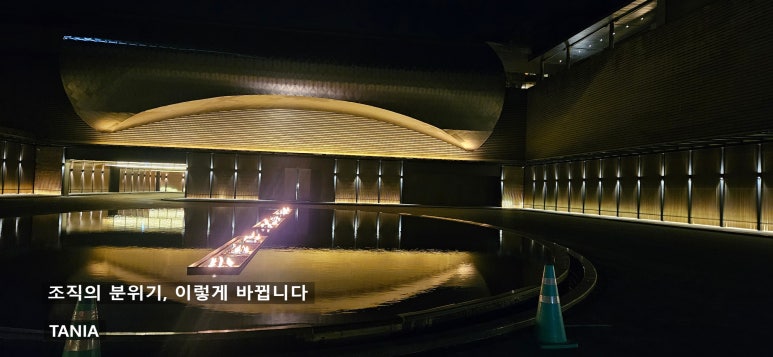 타니아 후기 사진