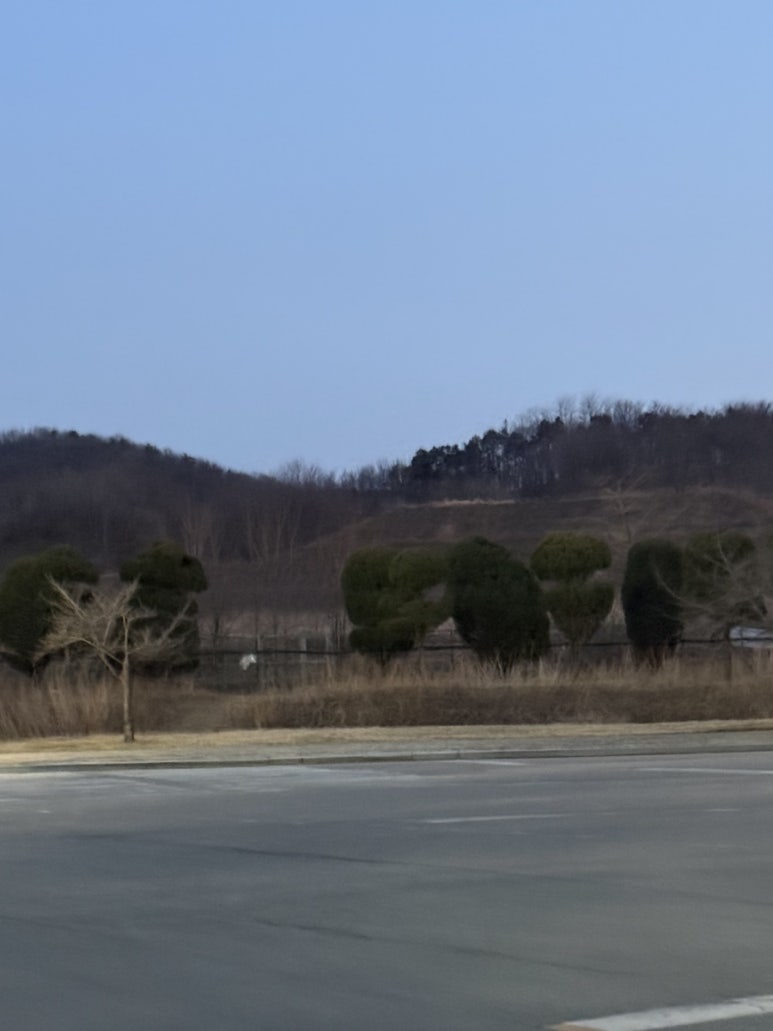 얼큰짬뽕수제비 사진 8