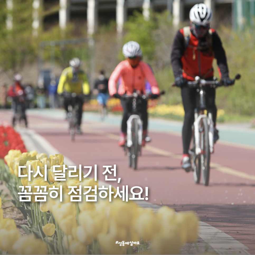 브로콜리 지역정보 관련 사진 1