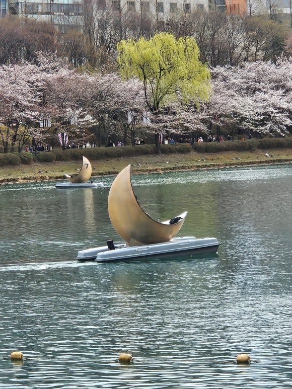 황금상황버섯삼계탕 본점 사진 8