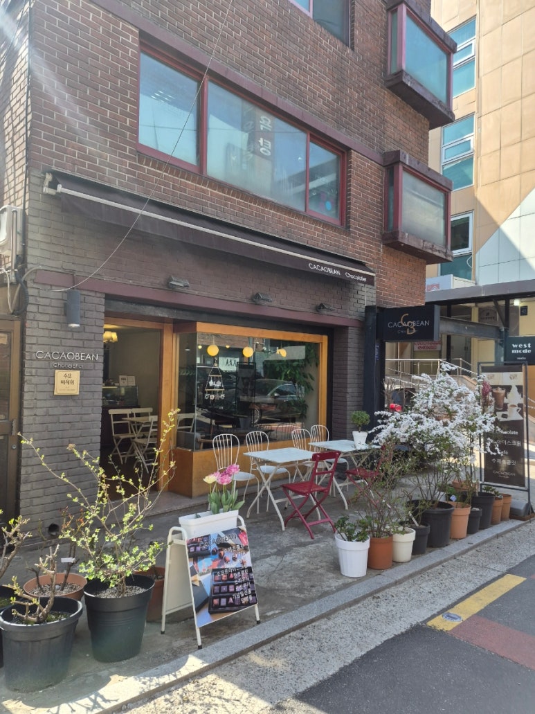 카카오빈 사진 4
