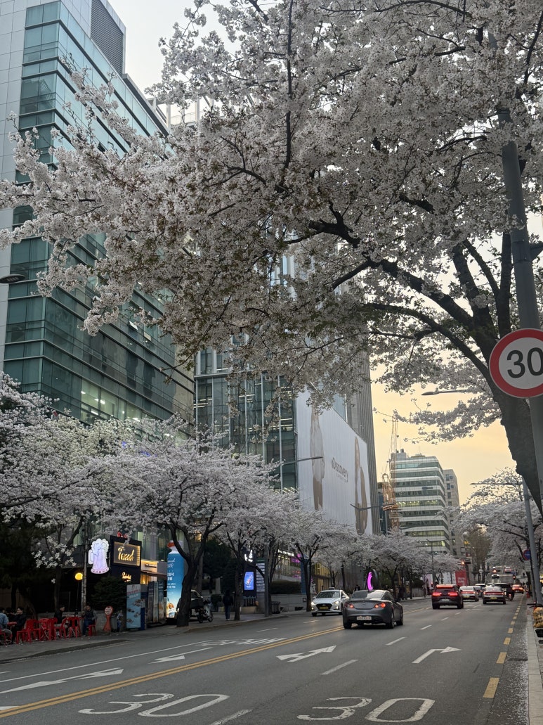 공탕이안 사진 3