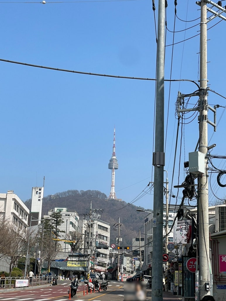 양계장닭한마리 사진 6