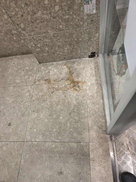 샐러디 장한평역점 사진 5
