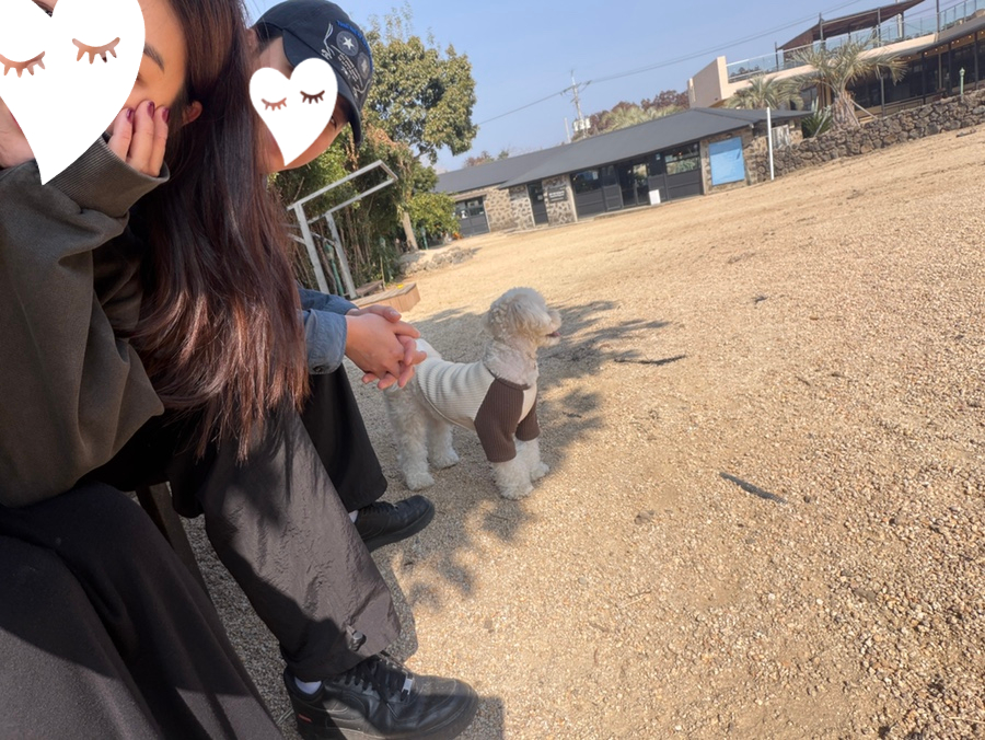 제주 퍼펫쇼룸 애견운동장, 3천원 입장료로 신나게! — 사진 14