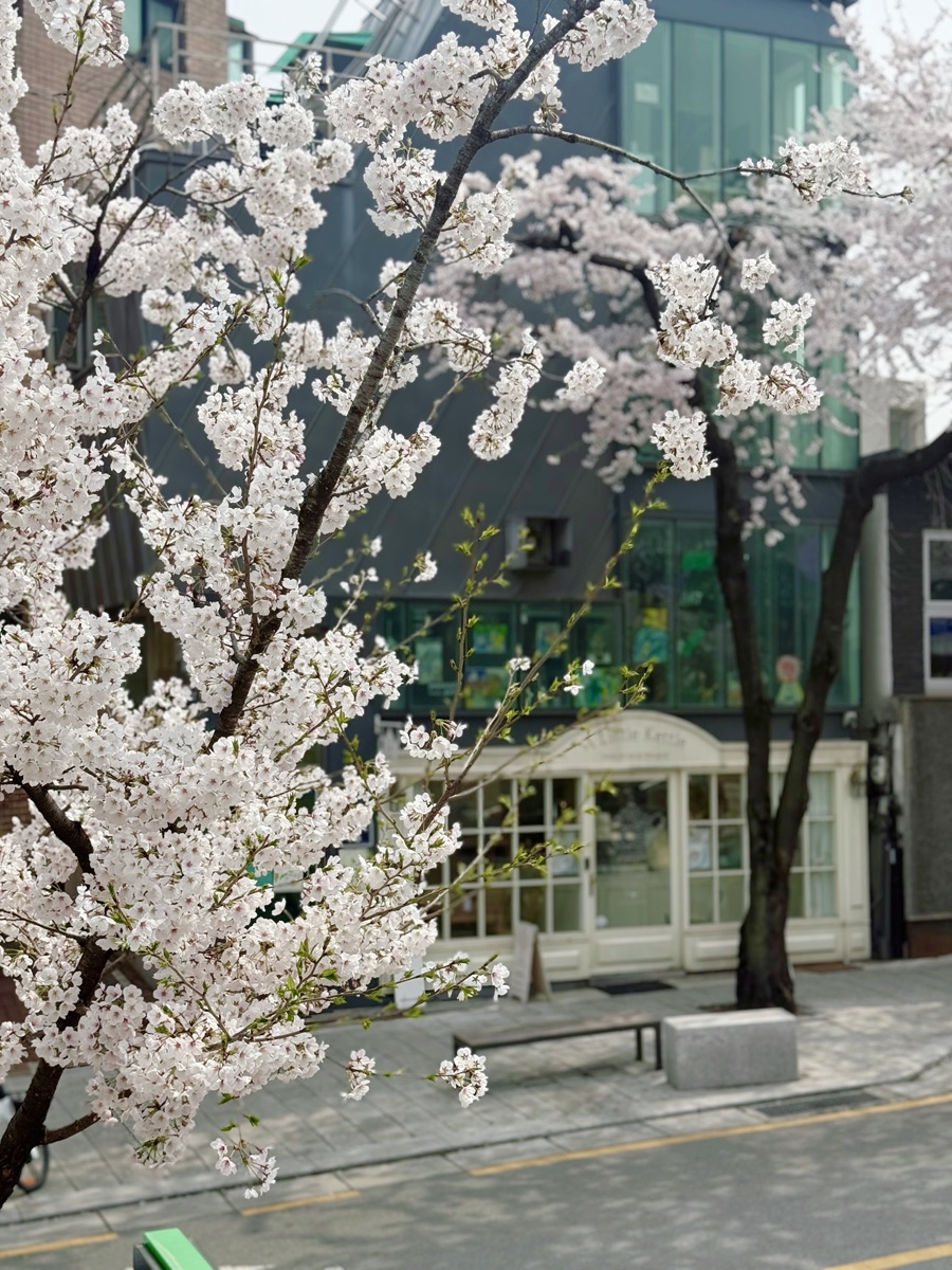 너울주막 서촌 평일 웨이팅 + 경복궁역 서촌마을 벚꽃길 포토존 : 네이버 블로그