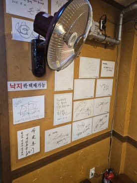 피마길실비집 사진 7