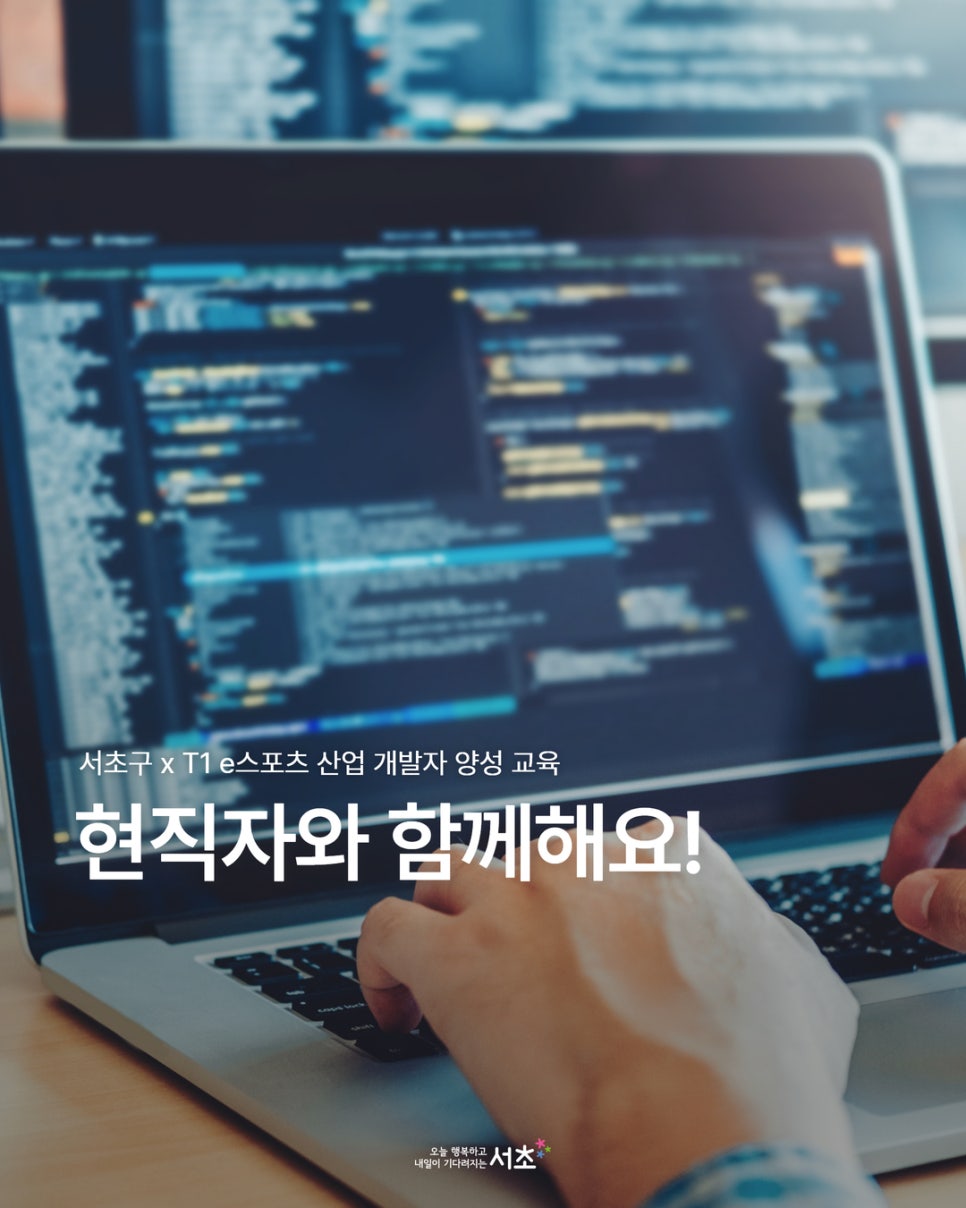 브로콜리 지역정보 관련 사진 1