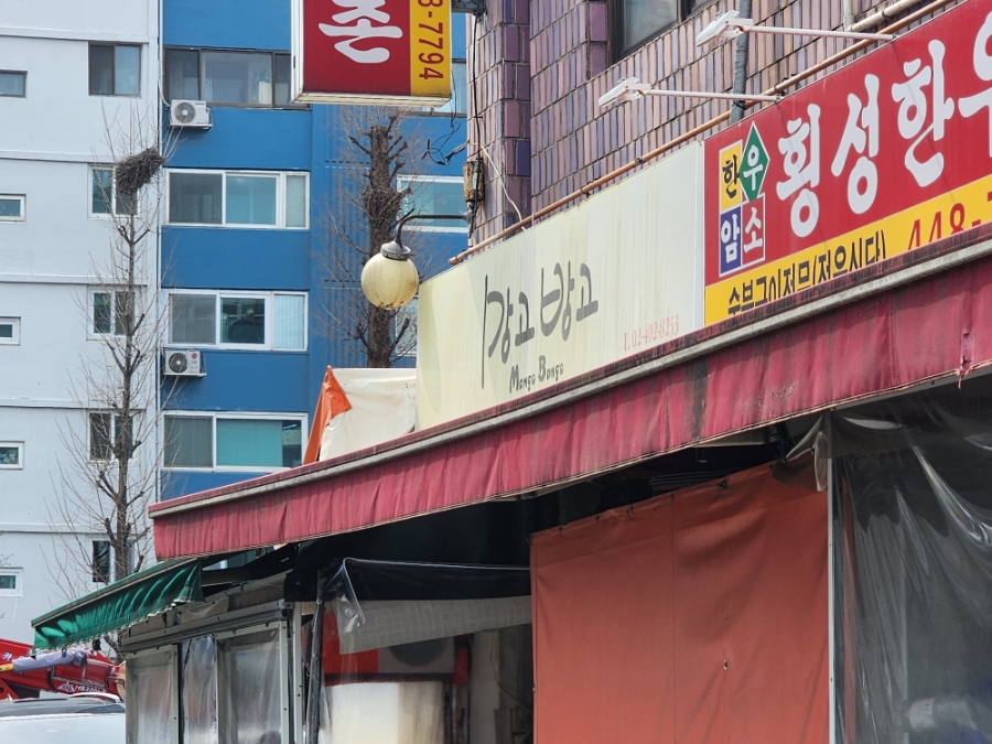 망고방고 사진 6