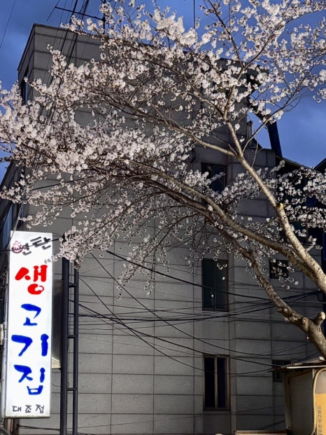 연탄생고기집 대조점 사진 7