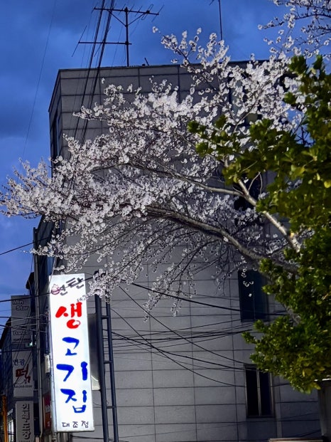 연탄생고기집 대조점 사진 8