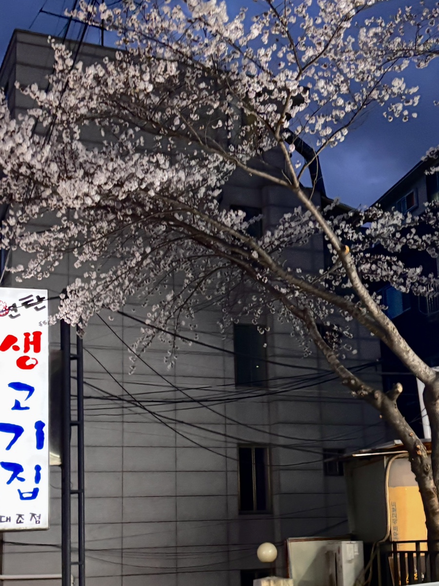 연탄생고기집 대조점 사진 6