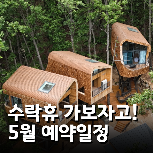 브로콜리 지역정보 관련 사진 6