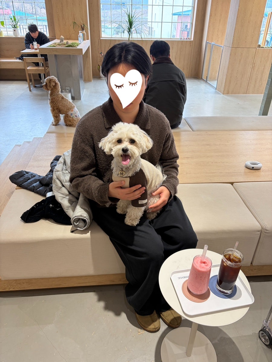서울 근교 애견카페 & 운동장 추천 TOP 3 — 사진 9