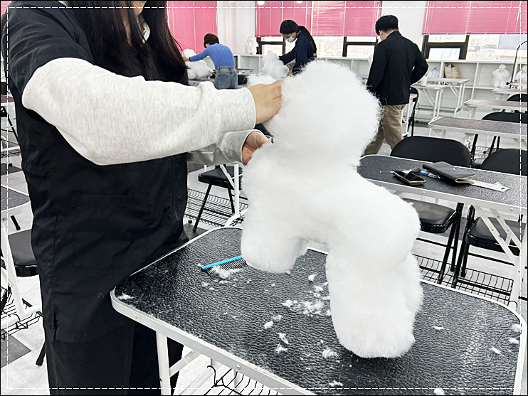 동탄 애견미용학원, 단기 취업/창업 준비는 이바우펫 — 사진 2