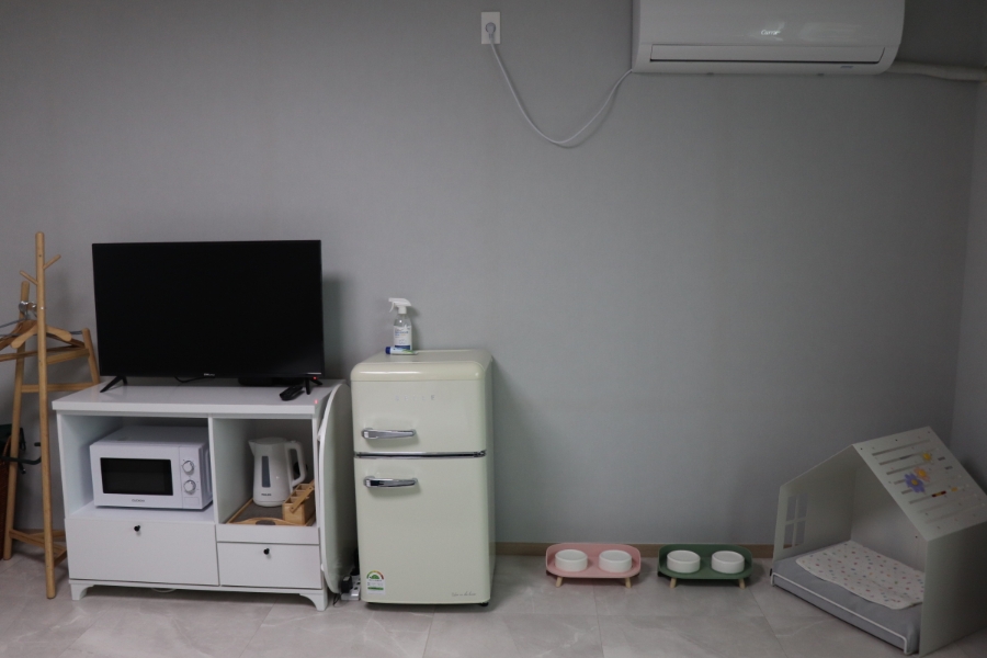 제주 모슬포항 애견펜션, 강아지 운동장 숙소 '쉼멍스테이' 후기 — 사진 7