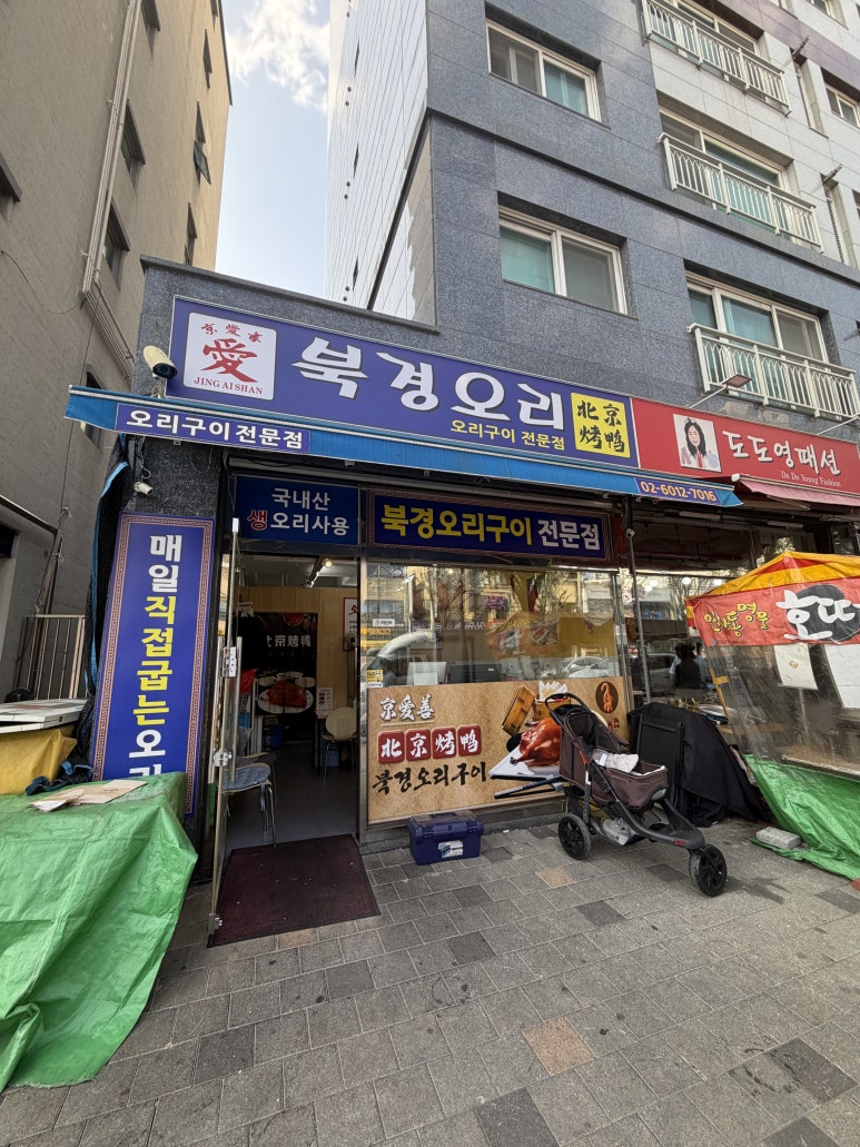 북경오리 사진 4