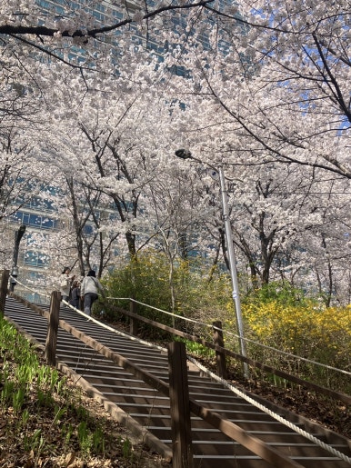와라야키 쿠이신보 삼각지점 사진 6