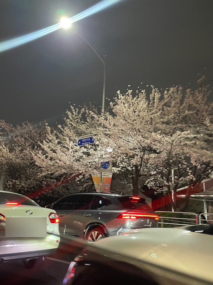 다른꽈배기 사진 7