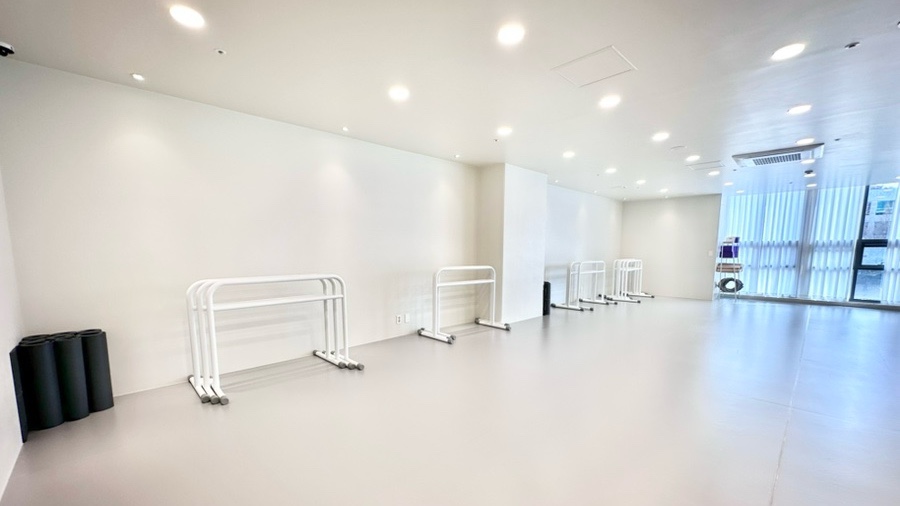 송파 성인 발레, 오늘발레스튜디오 문정점 60분 초급 수업 후기 — 사진 14