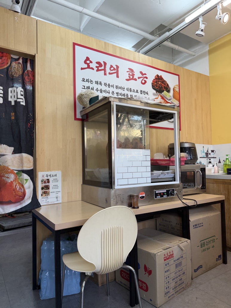 북경오리 사진 3