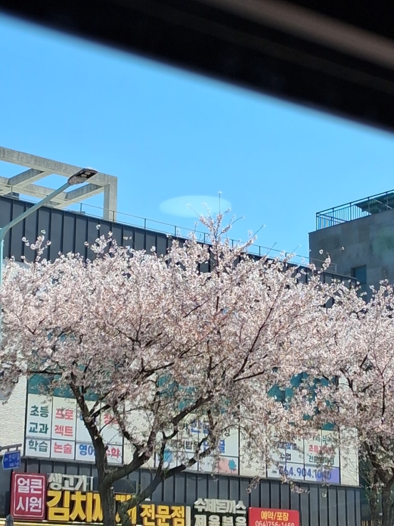 오니기리와이규동 제주대점 사진 6