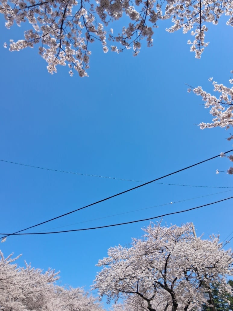 오니기리와이규동 제주대점 대표 사진