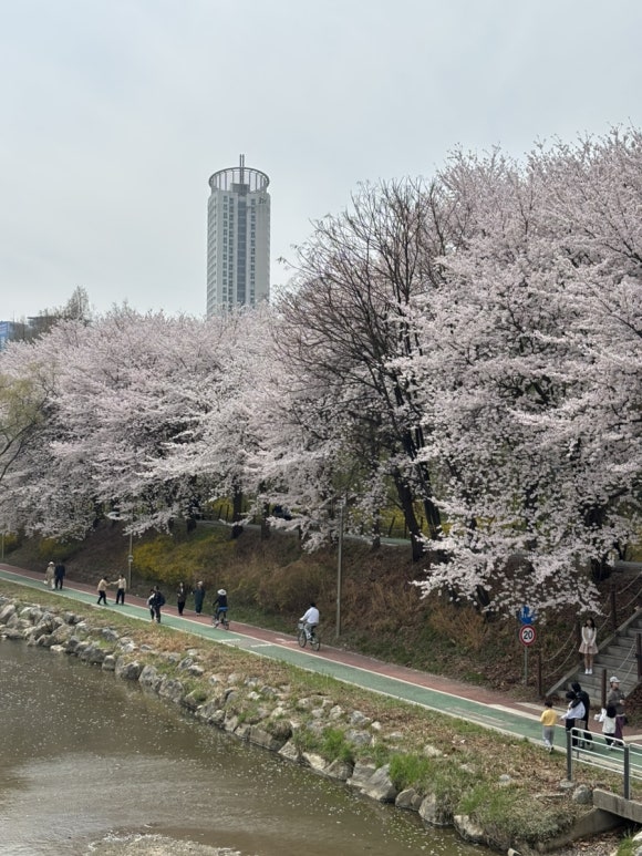 한국교자 잠실점 사진 8
