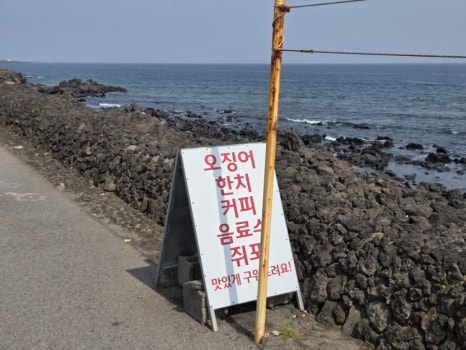 제인이네 사진 5
