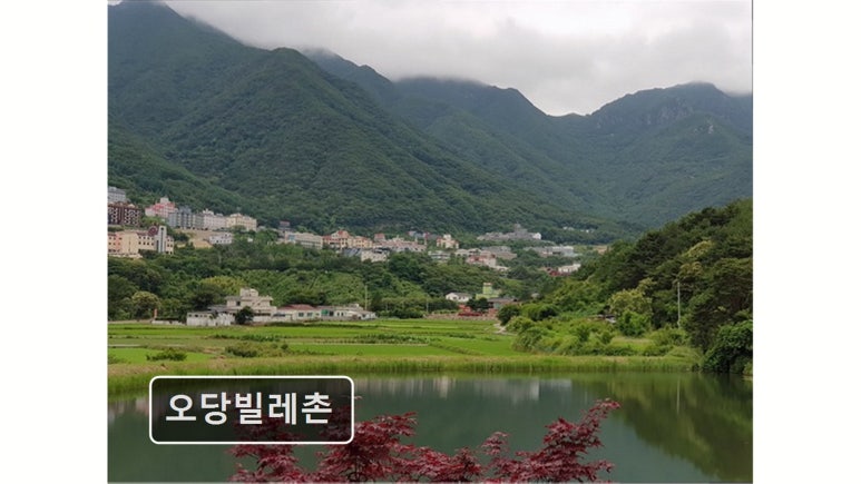 오당빌레촌 사진 5