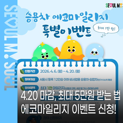 브로콜리 지역정보 관련 사진 1