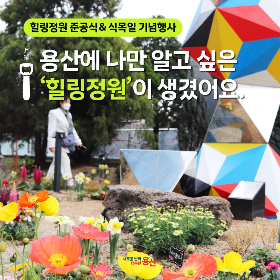 브로콜리 지역정보 관련 사진 1