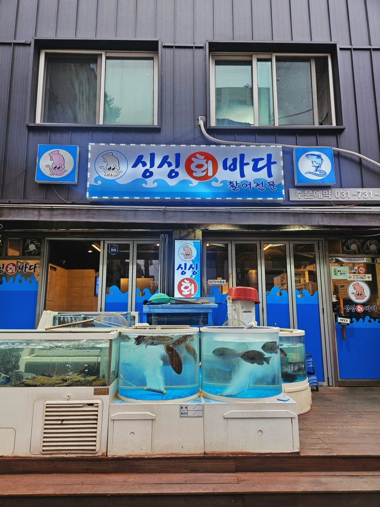 싱싱회바다 사진 3