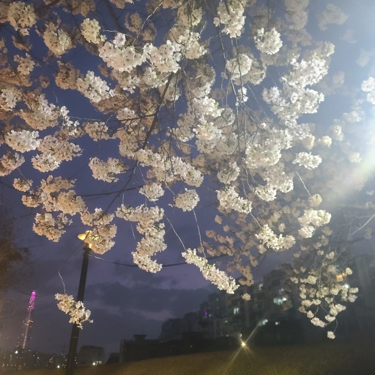 대박대패삼겹앤우삼겹 사진 6