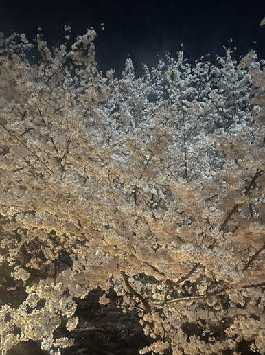 미나리급랭삼겹살 사진 6